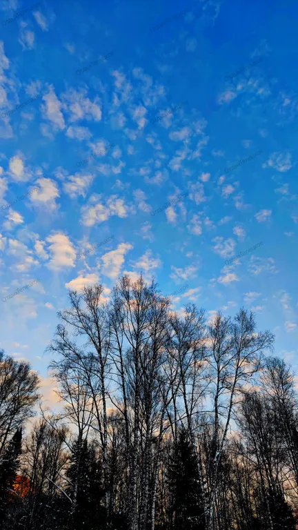 Отдых Телецкое