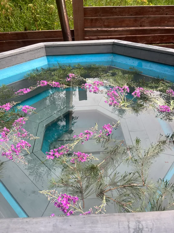 Коттедж Уютный дом в лесу со всеми удобствами — Михеево