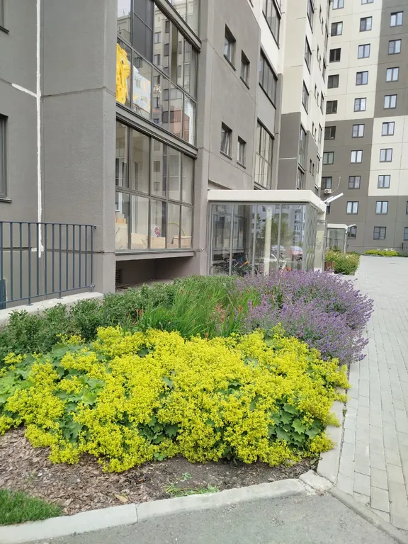 1-комнатная Квартира