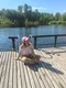 Елена Юферова