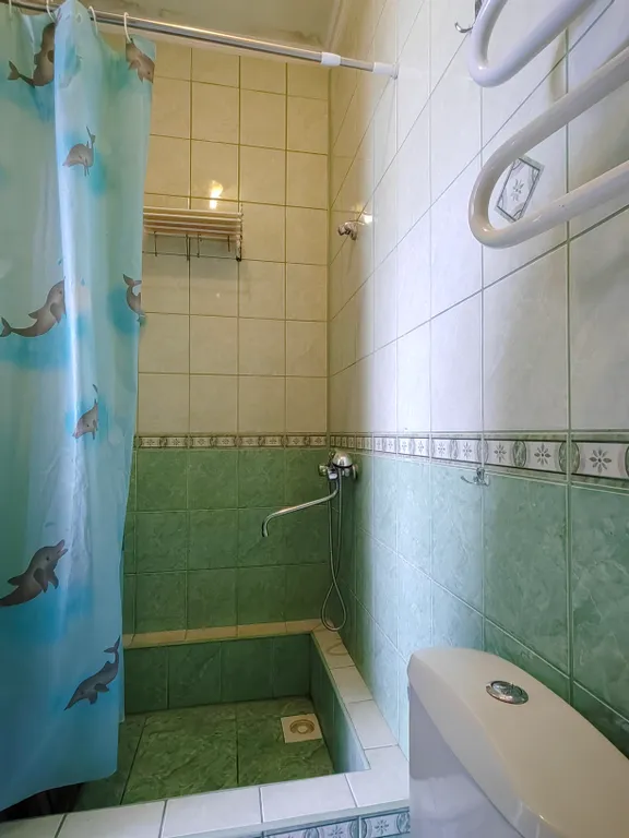 Однокомнатная квартира на Балтийской косе