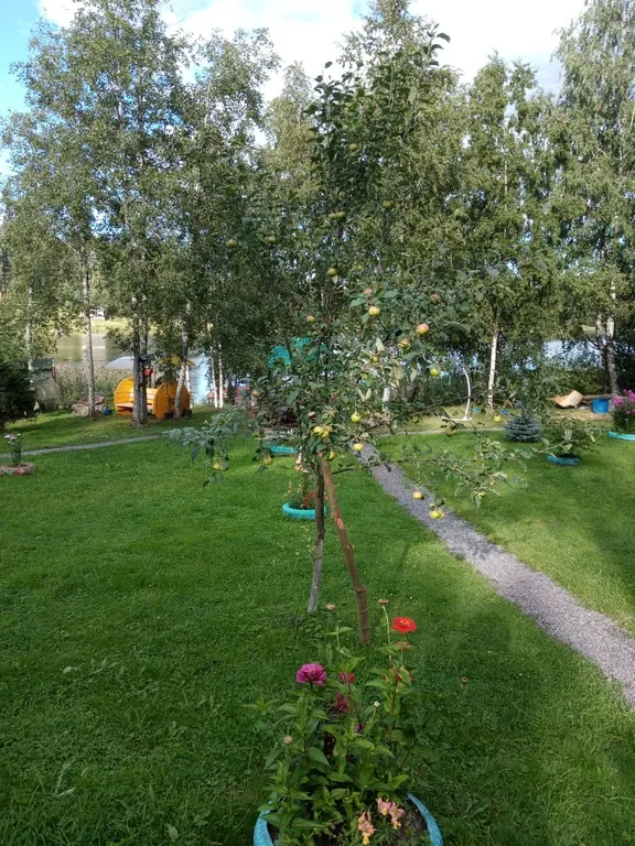 Уютный домик для отдыха