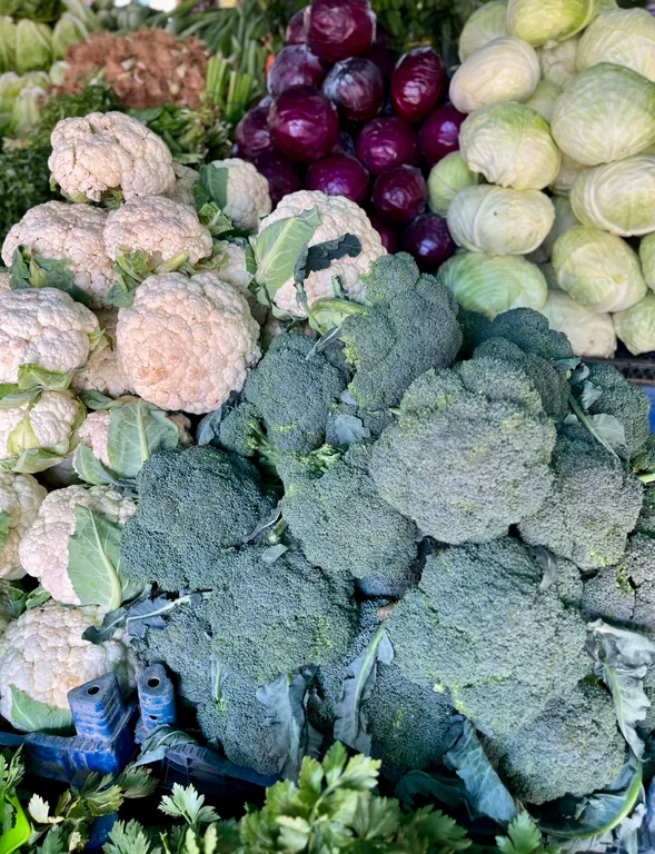 Уютная квартира у Средиземного моря