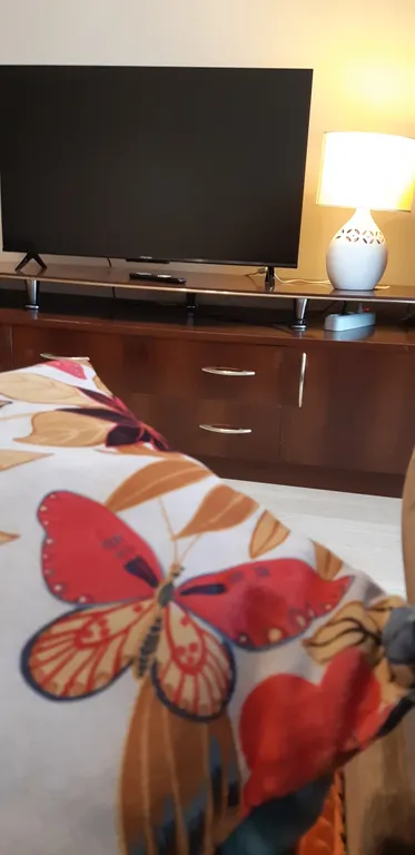 Уютная квартира у озера