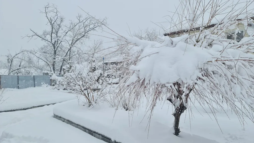 Уютный загородный дом с красивой благоустроенной территорией.