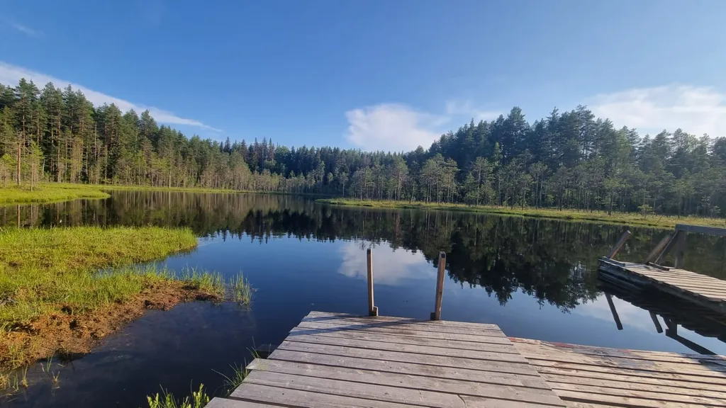 Дом-студия.