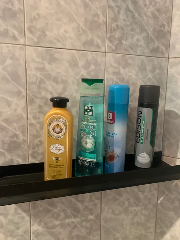 Большой уютный дом