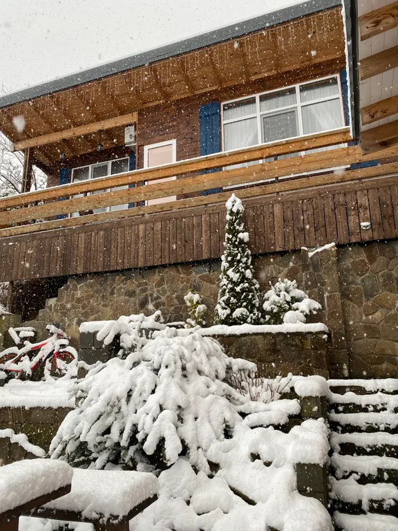 Коттедж Кедровый домик — Казачий Брод