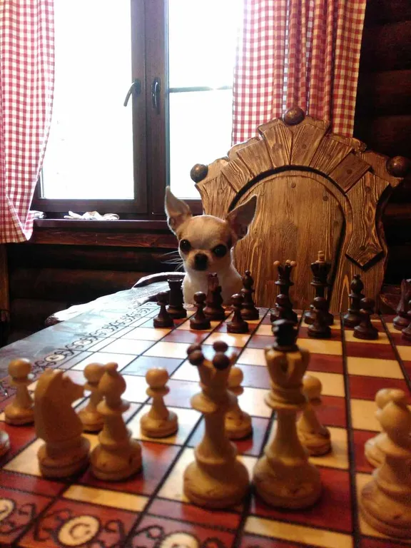 Дом Викинга