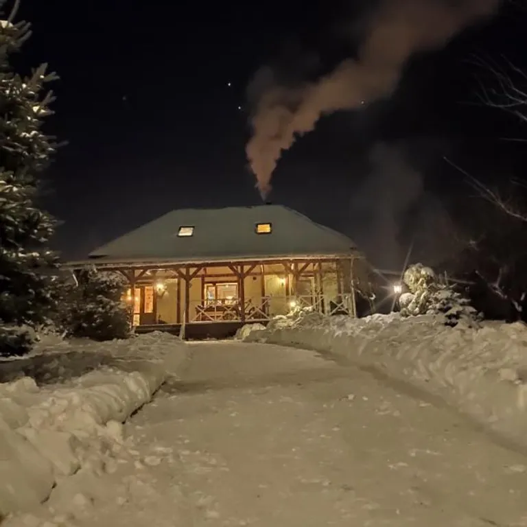 Дом с банькой у Павловского парка