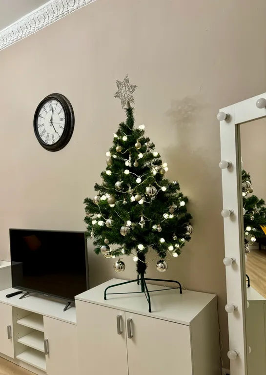 Квартира Квартира в центре — Пушкин