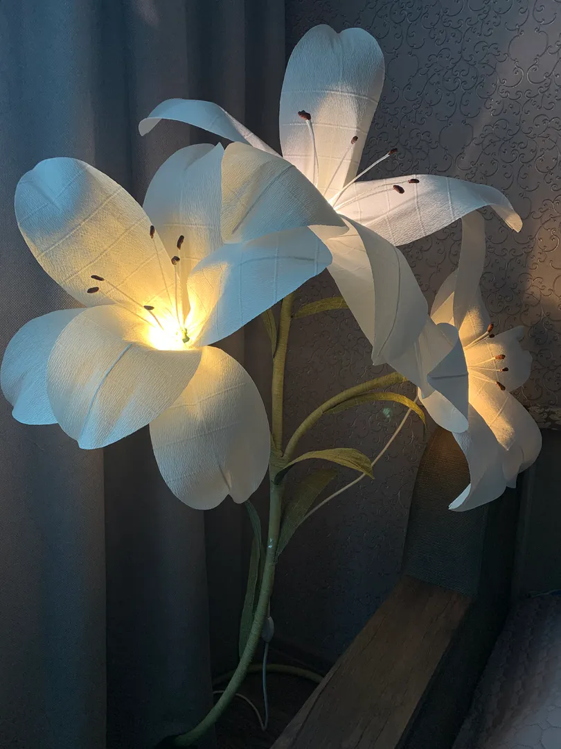 Фото