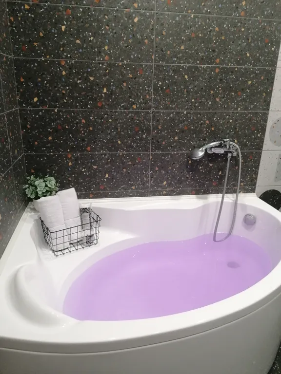 Современная студия с огромной ванной