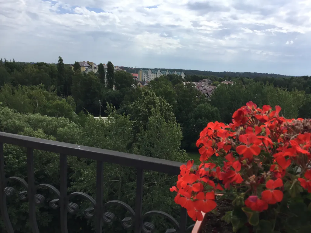 Квартира Апартаменты Горизонт у моря — аренда посуточно в Светлогорск