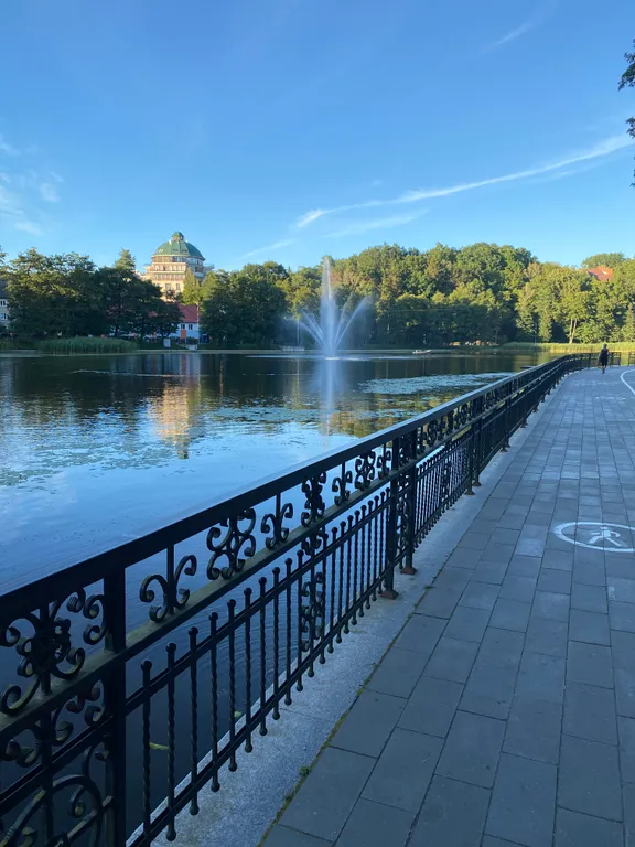 Апартаменты с видом на лес