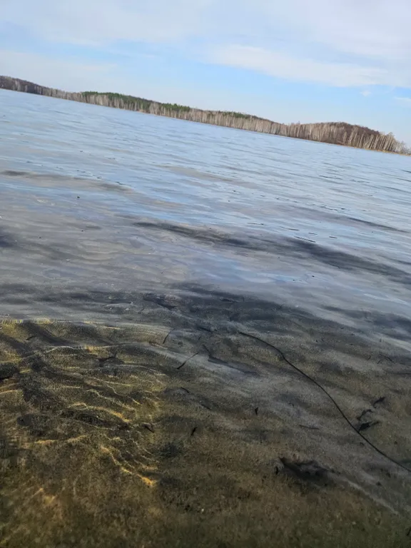 Дом на берегу озера