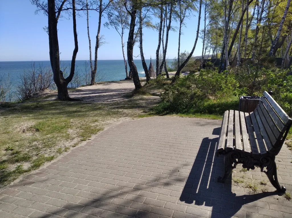 Первая линия у моря в сосновом бору