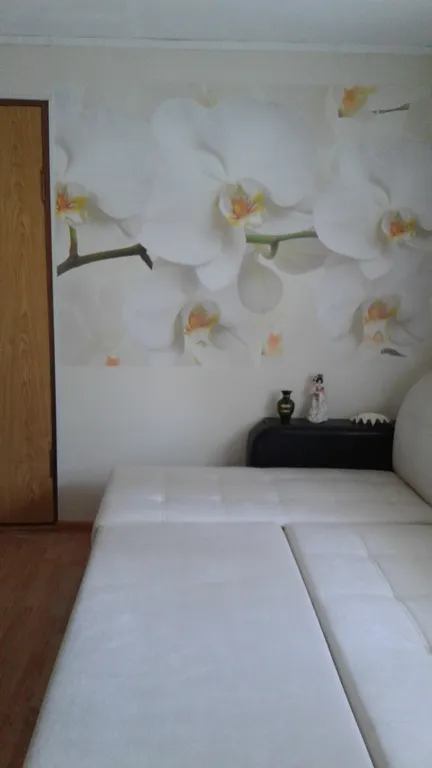 Уютная однокомнатная квартира с зеленым двором