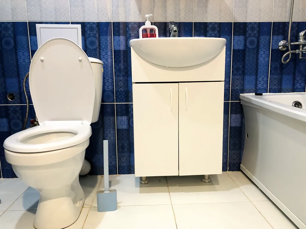 Квартира в центре Левого берега