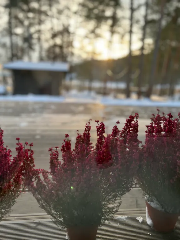 Стильный дом на берегу Ладожского озера с панорамным видом