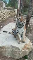 Серега  Варичев