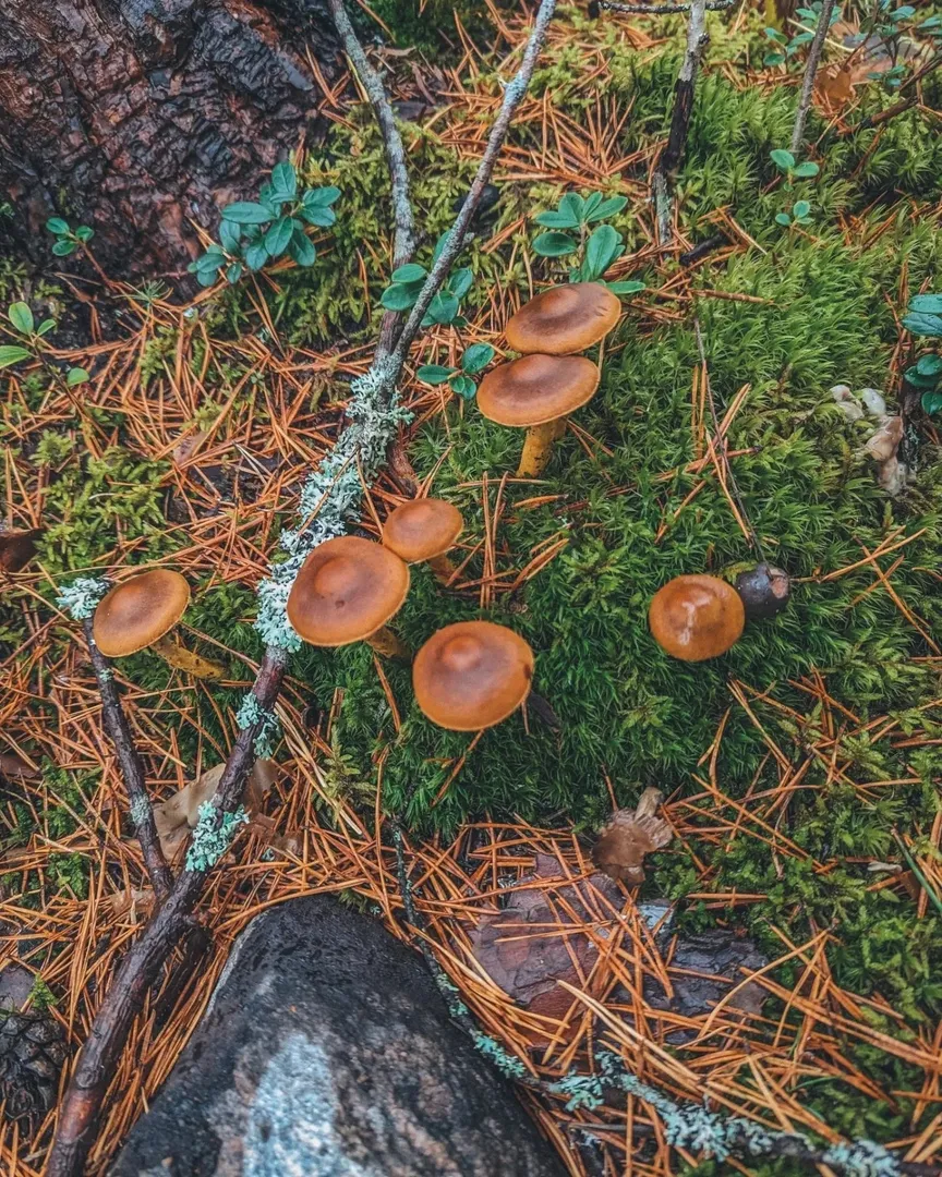 Фото