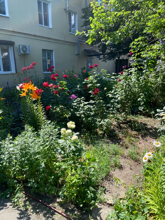 Чистая уютная трёхкомнатная квартира в самом центре города