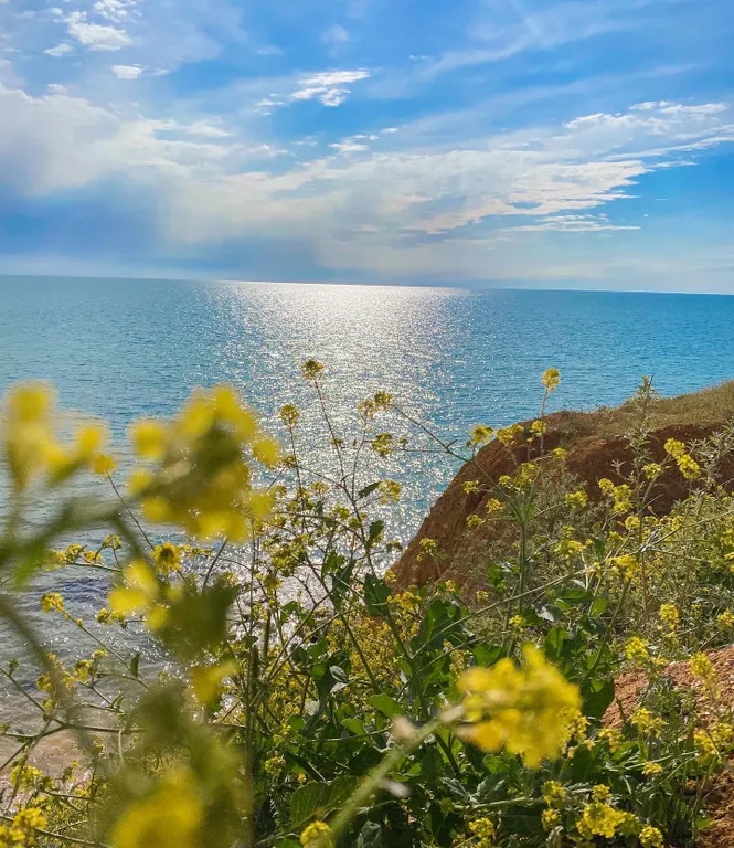 Апартаменты в 3 минутах от моря