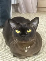 Mr.Alex