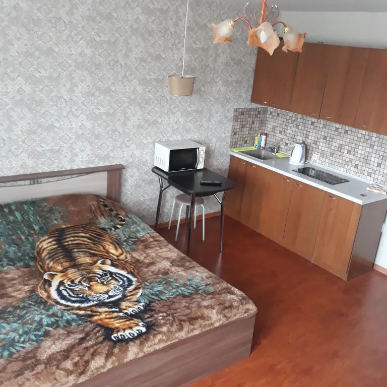 Отличная квартира-студия