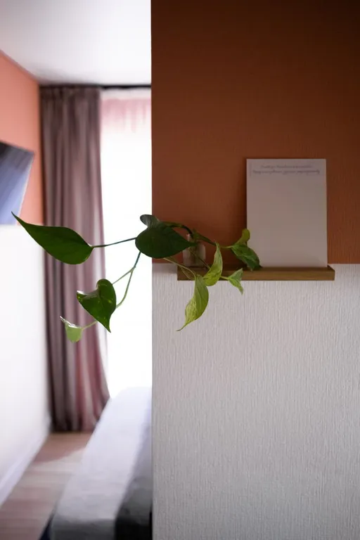 Квартира Квартира Персиковый сон — Анапа