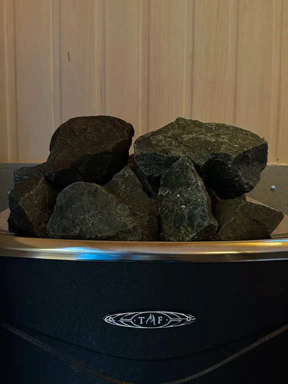 Дом с панорамными окнами с видом на лес