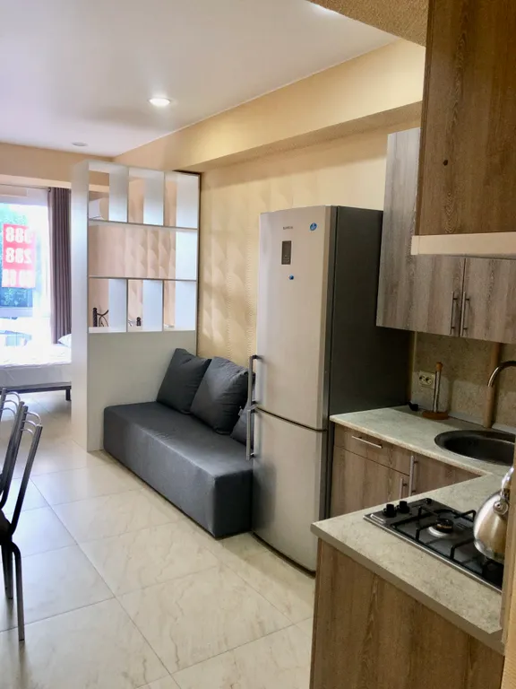 Просторная уютная студия