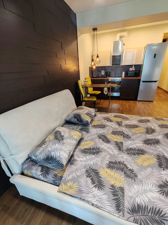 Большая студия с видом на Обь