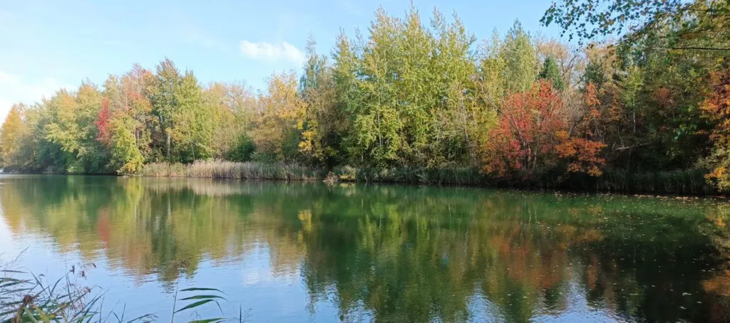 Коттедж Домик Сканди — Донской