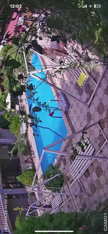 Уютный номер в коттедже