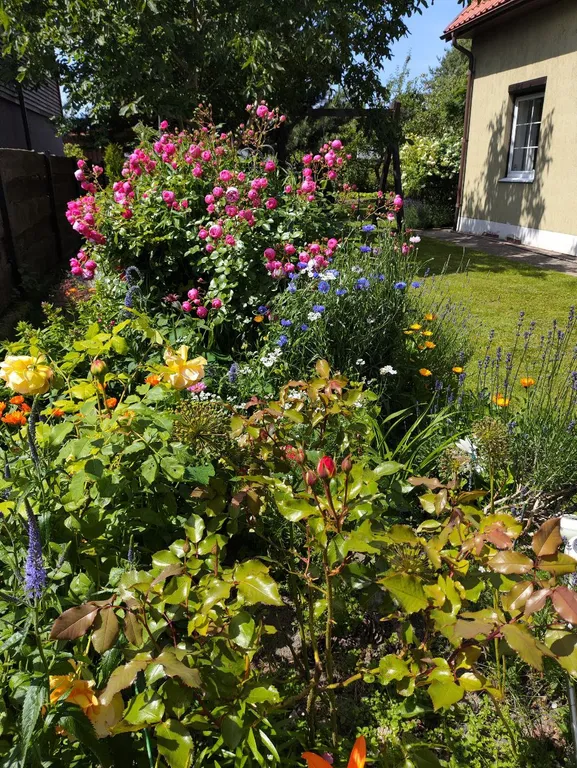 Дом для отдыха Майя возле моря