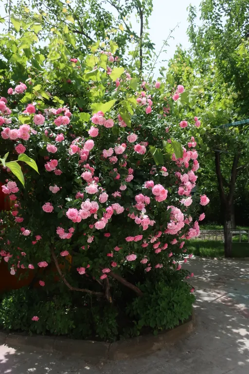 Часть дома с отдельным входом