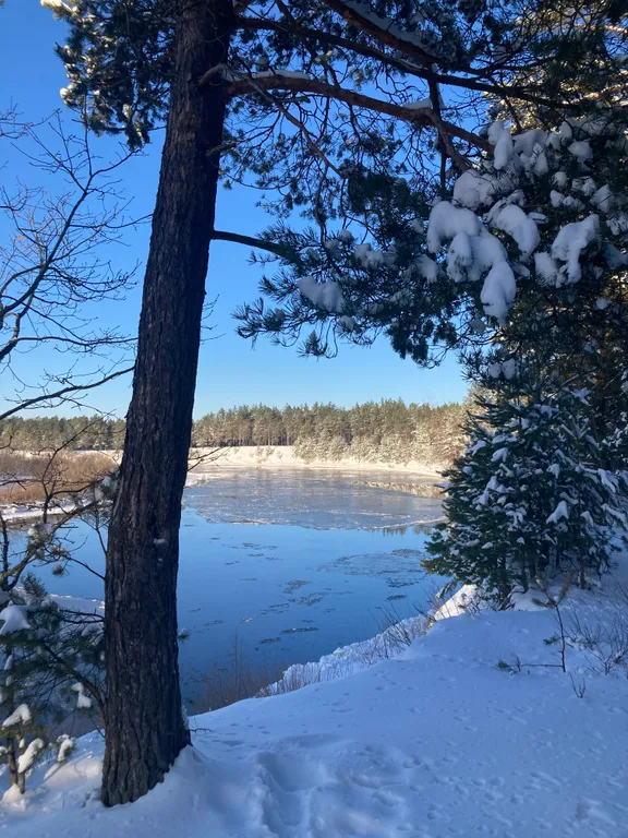 Уютный лесной домик со всеми удобствами