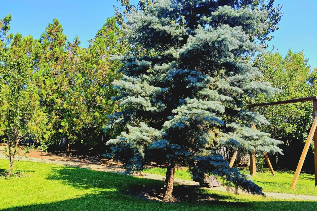 Теремок пятиизбянский