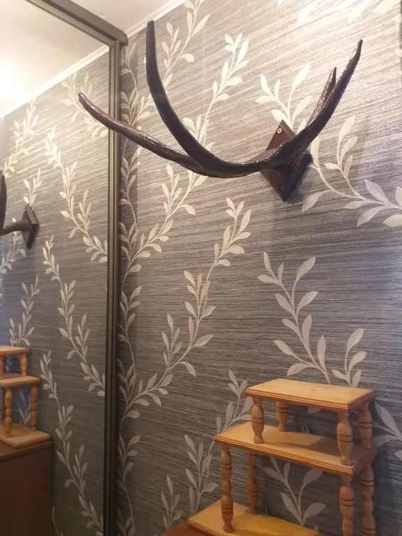 Уютная, светлая, теплая квартира с балконом