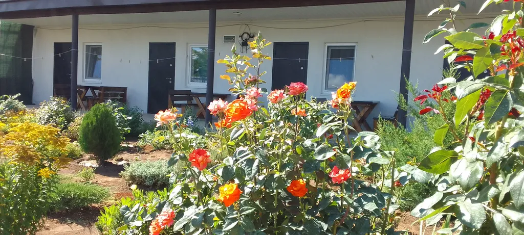 Тишина и уют