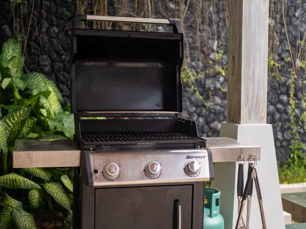 Эксклюзивная вилла Botanica The Nature