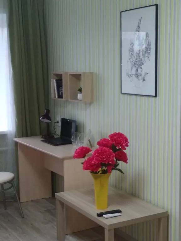 Уютная однокомнатная квартира