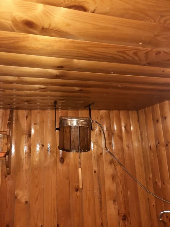 Отдых в Бузулукском бору круглый год с выходом в лес.