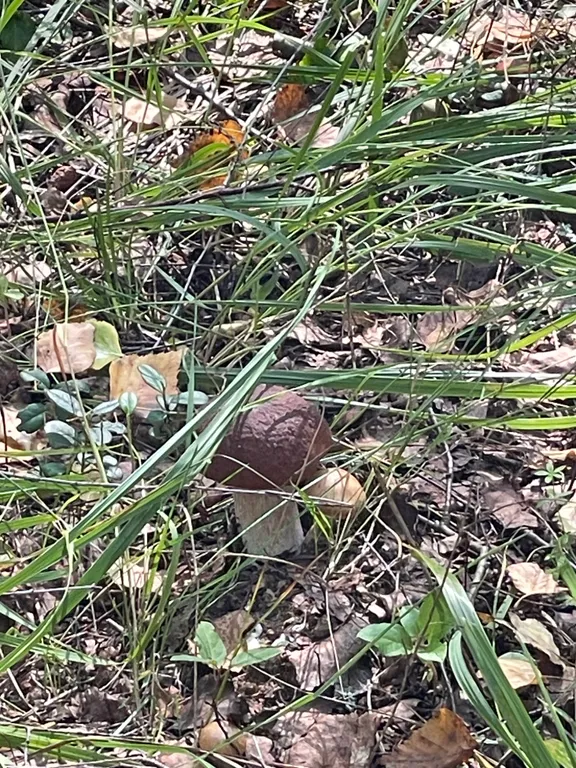 Уютный дом возле знаменитого Плещеева озера