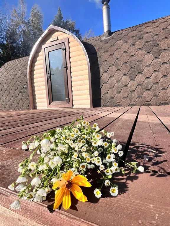 Коттедж Хаски дом — Разметелево