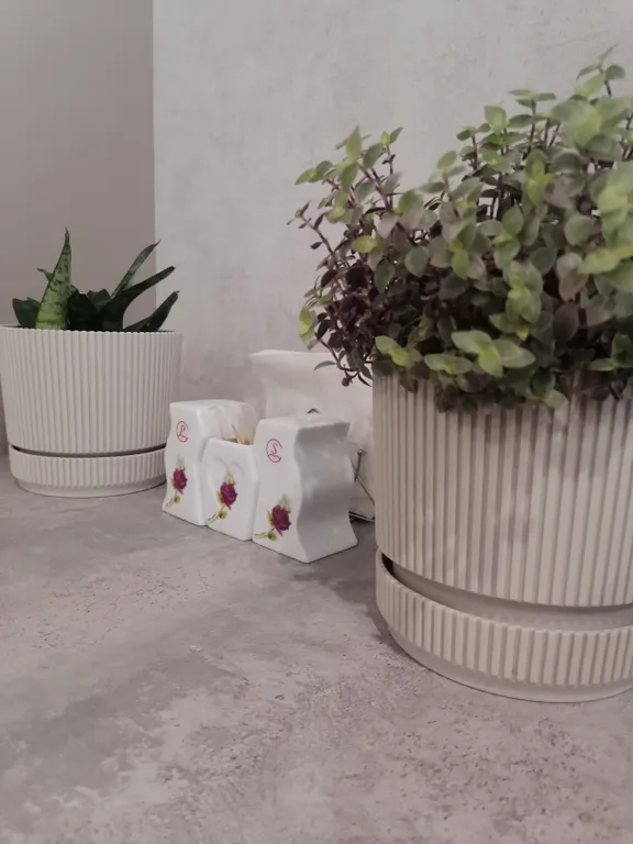 Уютная квартира в Тихом центре