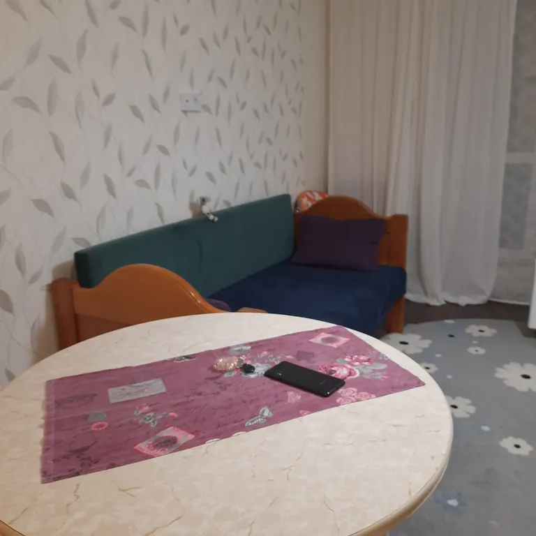 Cветлая студия с видом на Амур