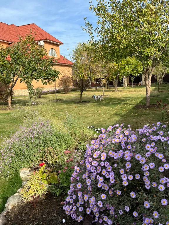 Коттедж в саду